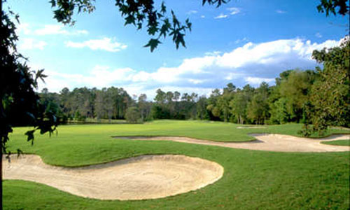 Golf Course 